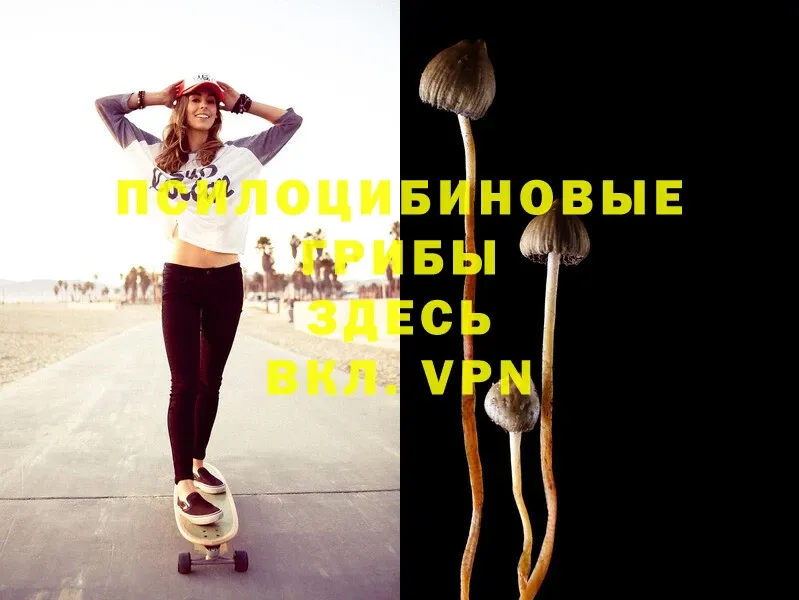 Псилоцибиновые грибы MAGIC MUSHROOMS  Альметьевск 